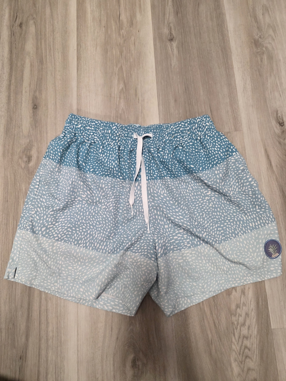 chubbies Light Blue and Teal Speckled Athletic Shorts
